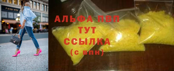 прущие грибы Абаза