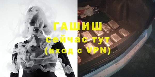 прущие грибы Абаза