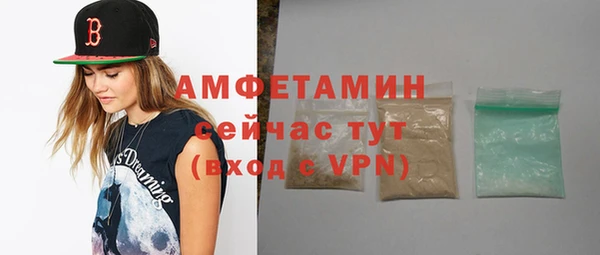 прущие грибы Абаза