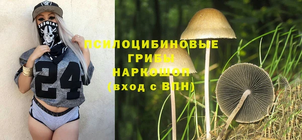 прущие грибы Абаза