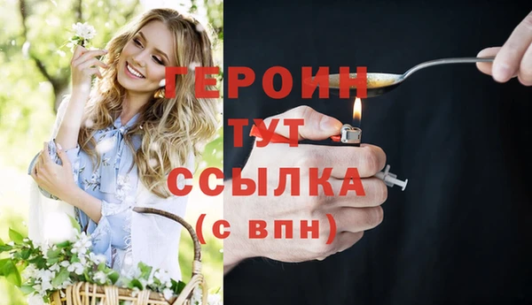 прущие грибы Абаза