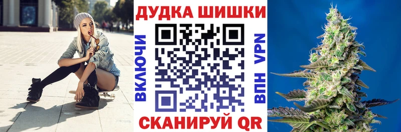 Бошки Шишки гибрид  Елизаветинская 
